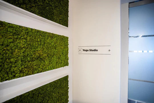 DIY Natural Moss Wall Tile- Interior Wall Features (Spring Green)