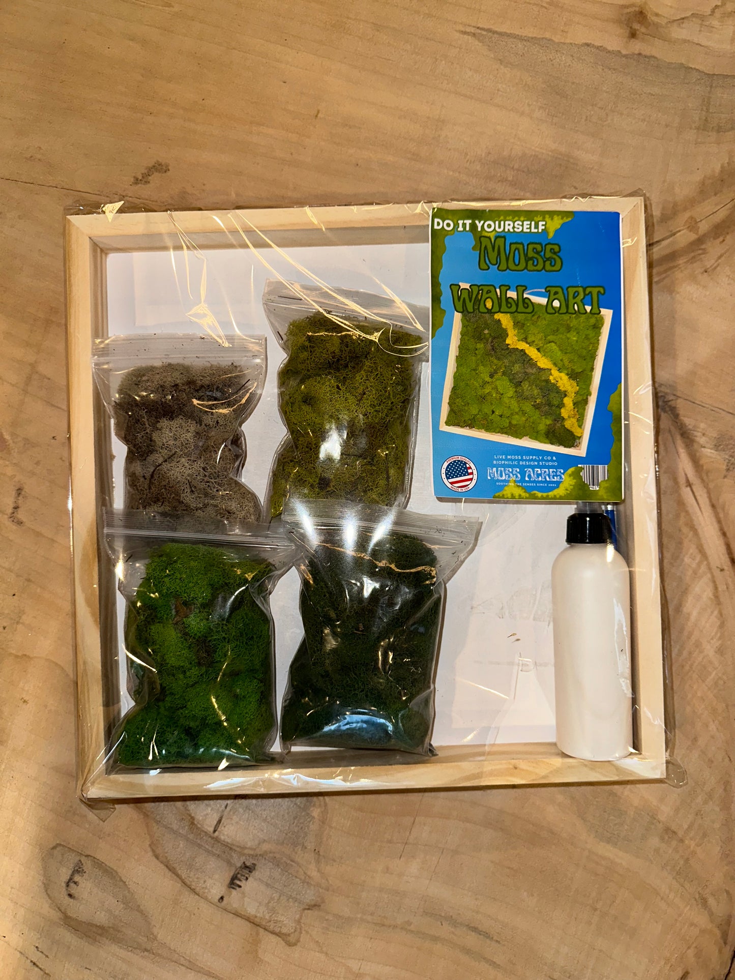 DIY Moss Art Kit