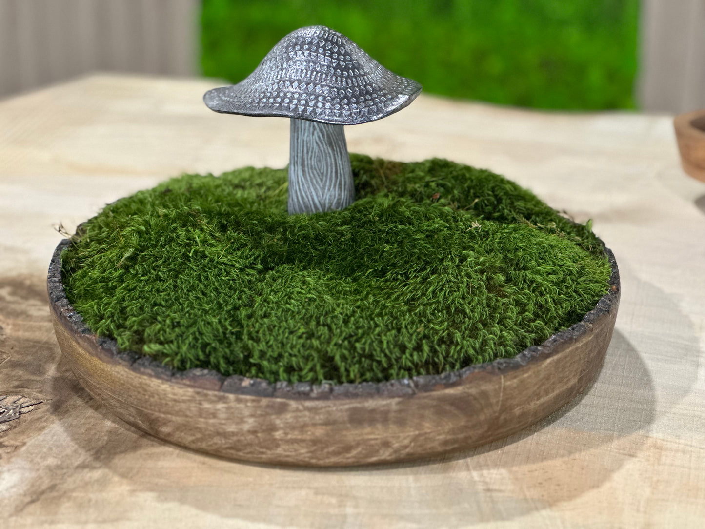 Mossy Mushroom