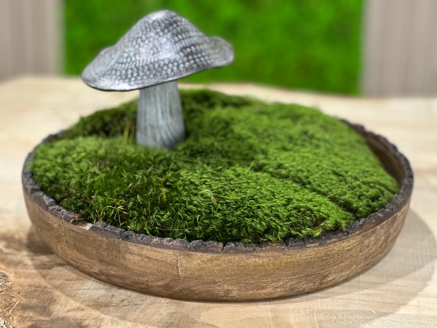 Mossy Mushroom