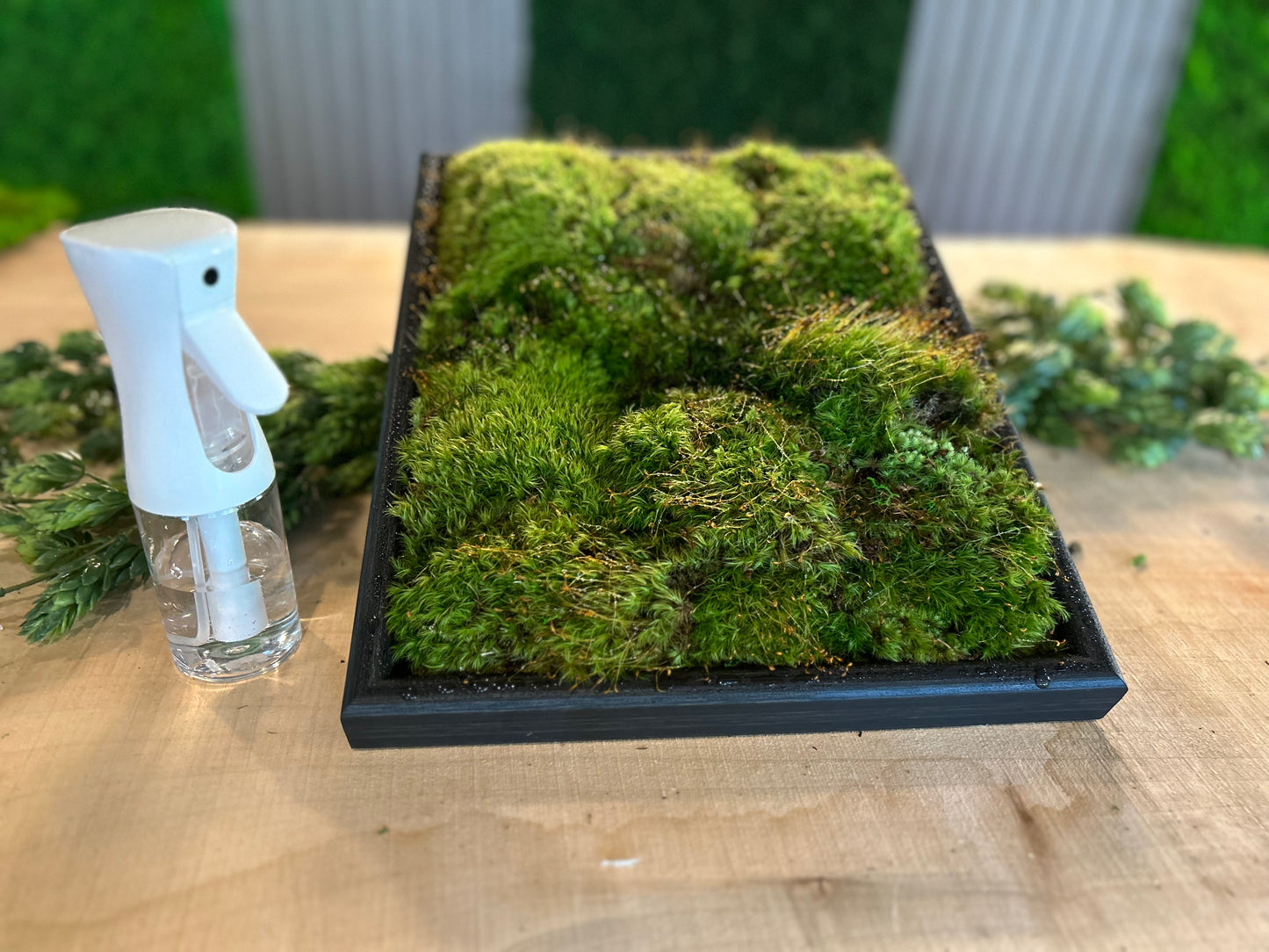 MossAire Living Moss Wall Frame: A Natural Air Filter & Stress Relief Oasis