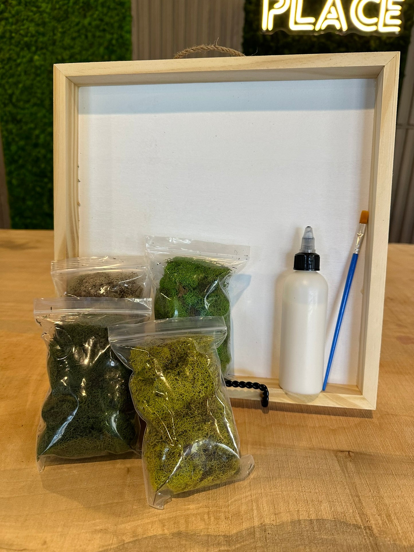 DIY Moss Art Kit