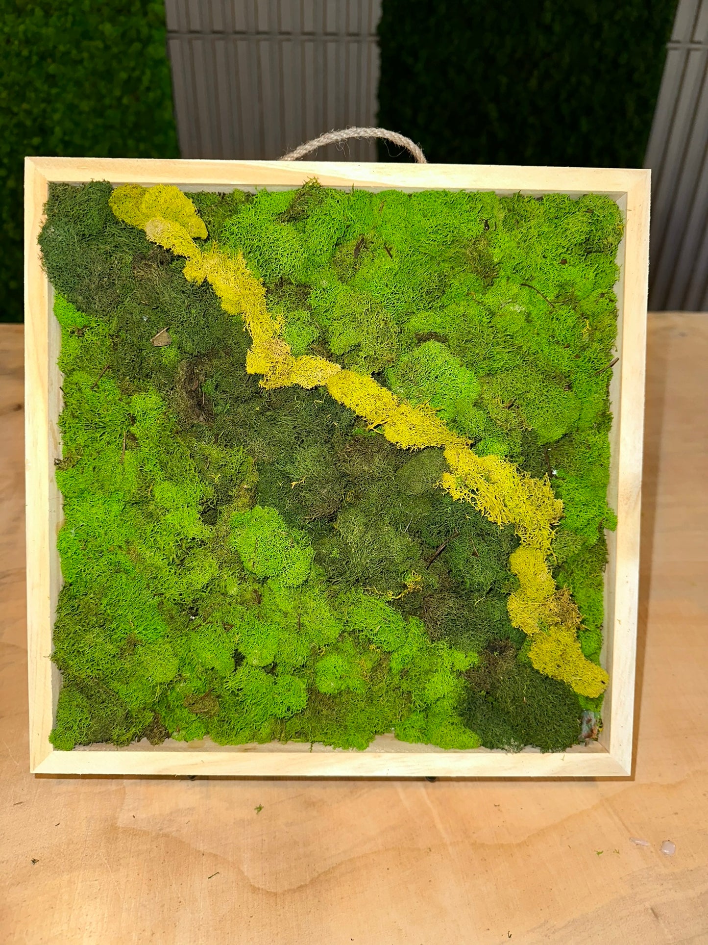 DIY Moss Art Kit