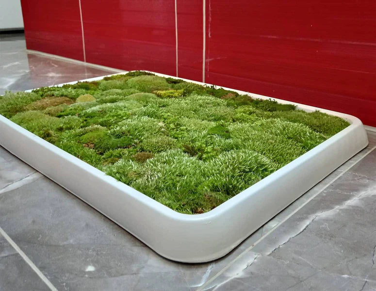 DIY Moss Bath Mat Kit: Transform Your Bathroom