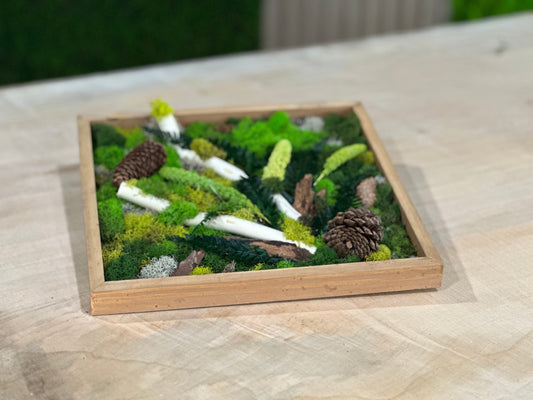 Private Moss Wall Art Workshop: Craft, Connect and BYOB! Up to 15 People