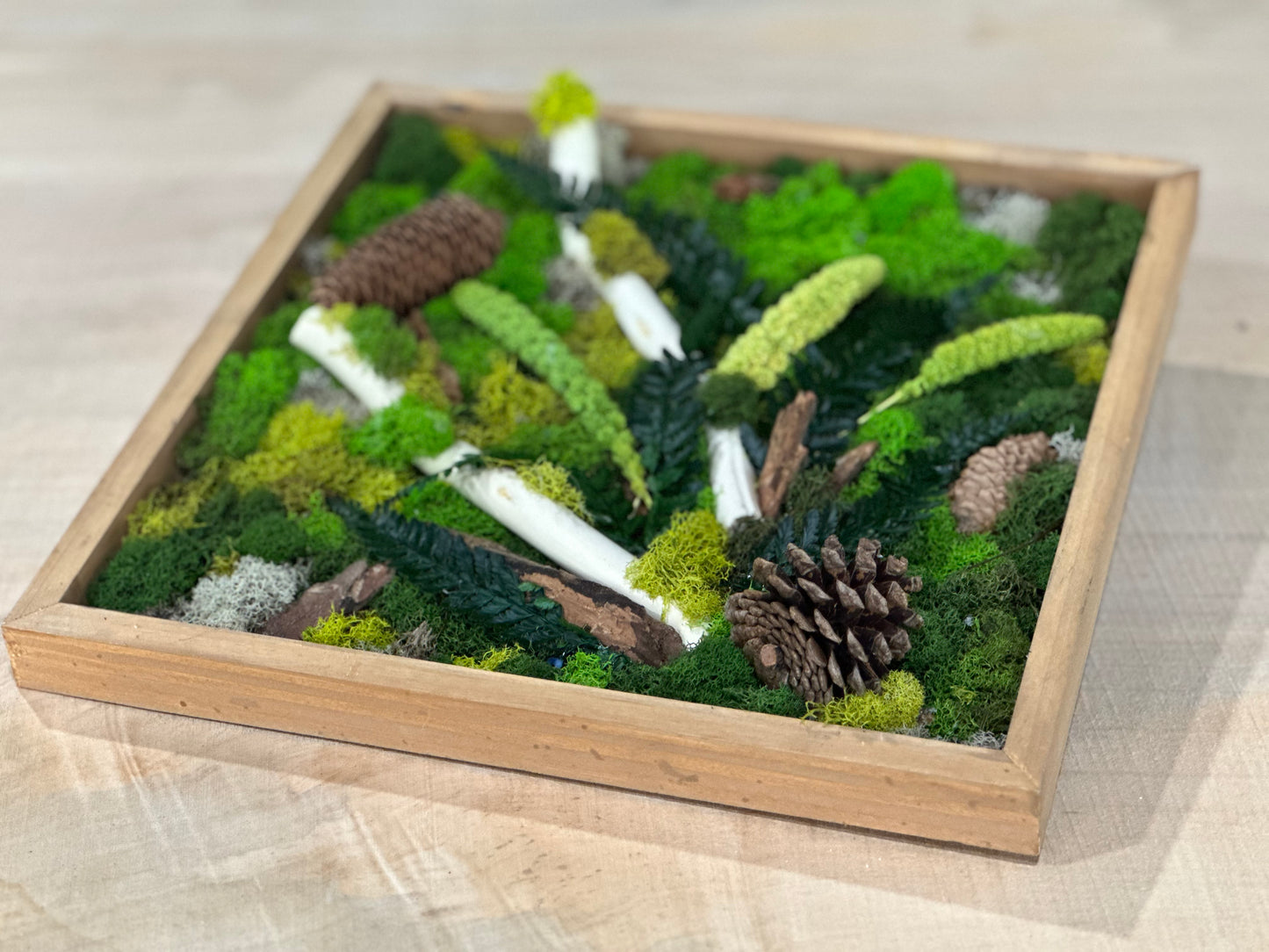 Enchanted Forest: Handcrafted Moss Wall Art - 1x1ft