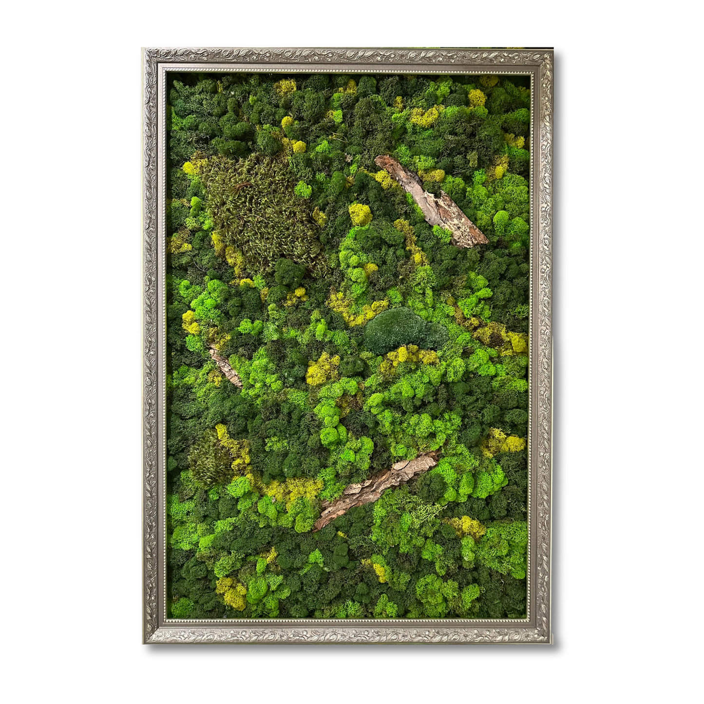 A Forest Symphony in a Frame - Framed Moss Art Piece: 24"x36"