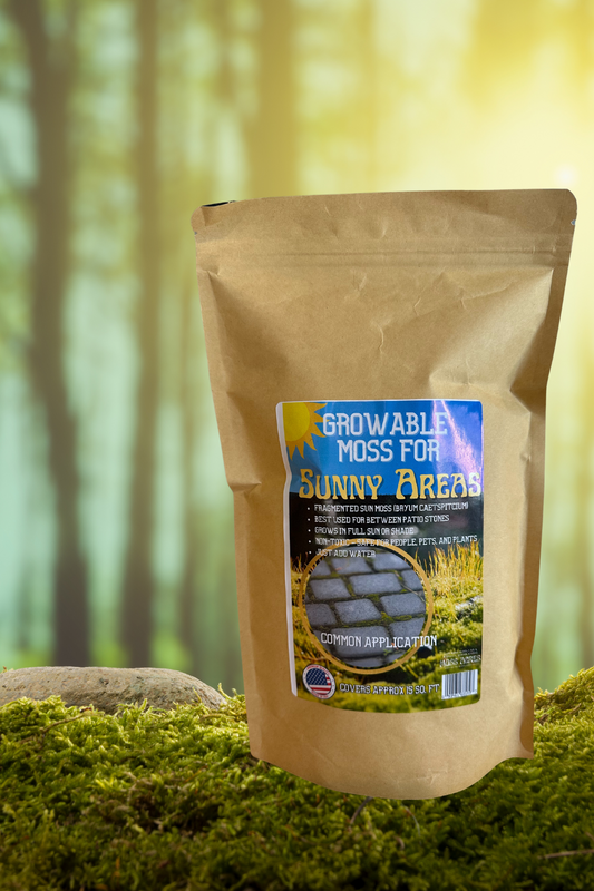Growable Moss for Sunny Areas