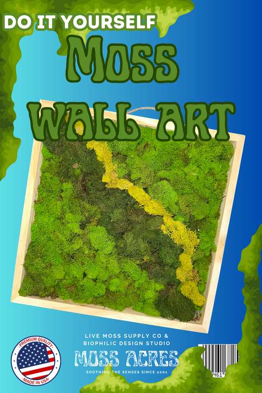 DIY Moss Art Kit