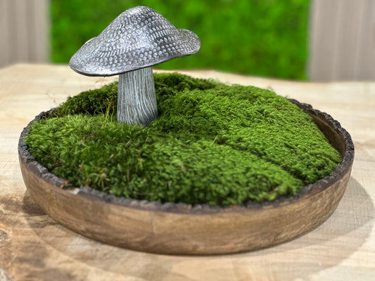 Mossy Mushroom