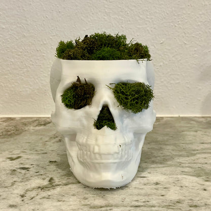 DIY Skull Workshop - [POV] Your canvas is a skull. Saturday October 26th