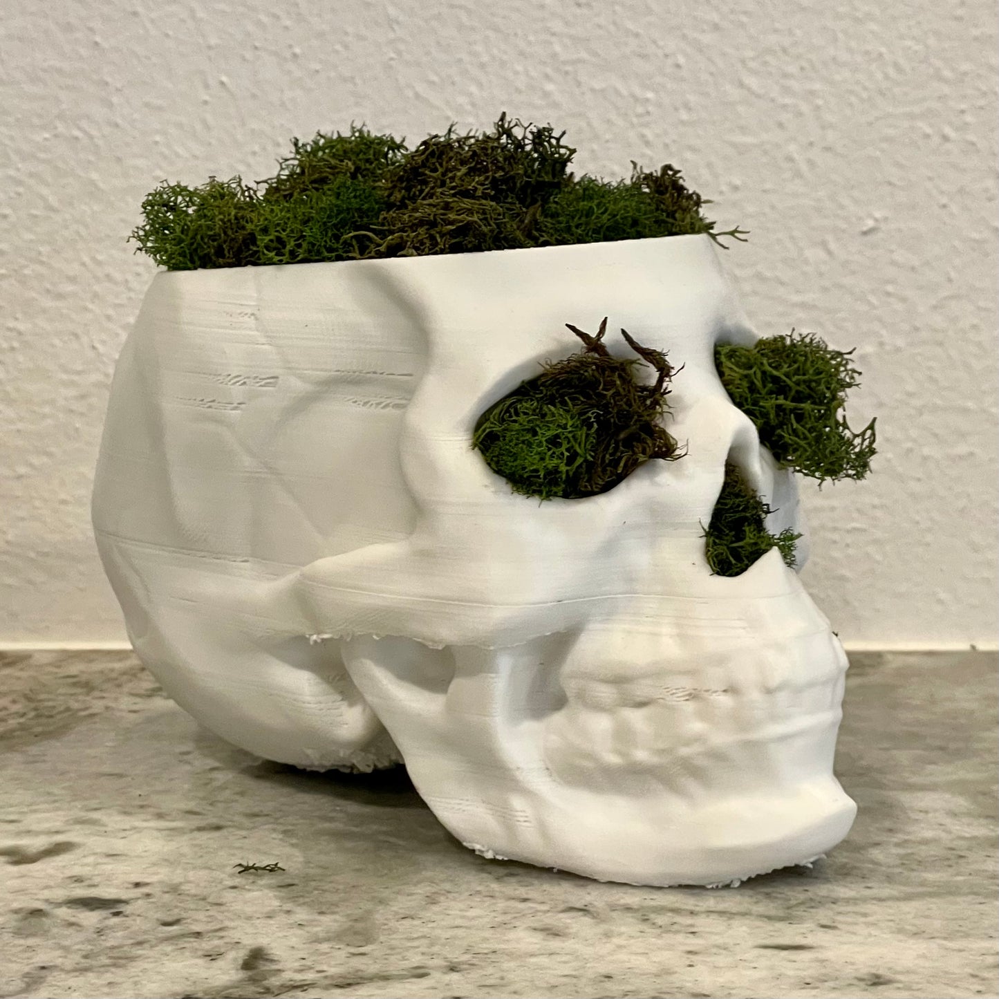 DIY Skull Workshop - [POV] Your canvas is a skull. Saturday October 26th