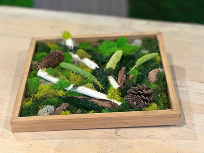 Moss Wall Art Workshop Gift 🎁