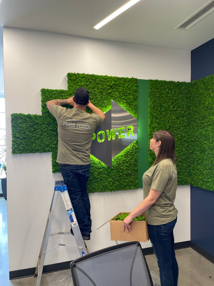 Design Studio – Moss Acres Biophilic Studio & Workshop