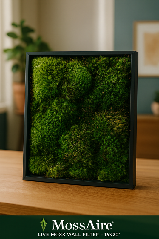 MossAire Living Moss Wall Frame: A Natural Air Filter & Stress Relief Oasis