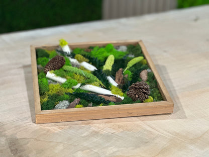 Moss Wall Art Workshop: Craft, Connect, and BYOB! Dec. 2, 2023