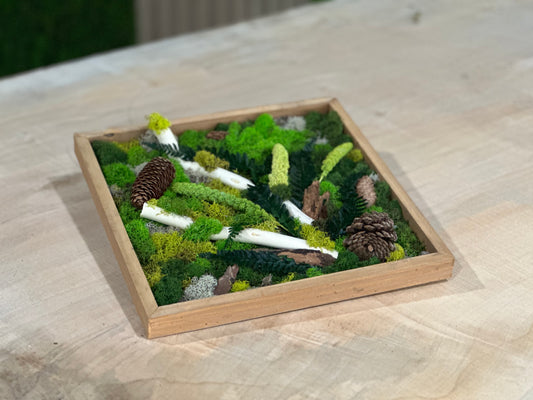 Moss Wall Art Workshop: Craft, Connect, and BYOB! Oct. 21st, 2023