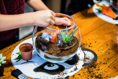 Living Terrarium ~ Tuesday ~ July 14 ~ 11 am