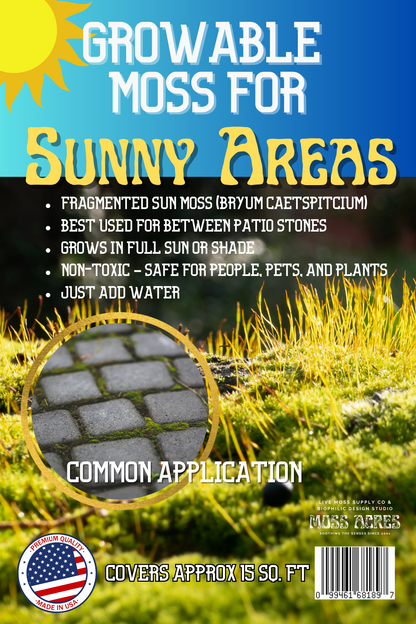 Growable Moss for Sunny Areas